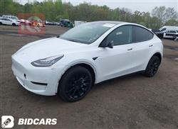 تسلا موديل Y